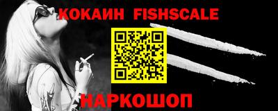 шишки Дубна
