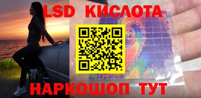 кокс Донской