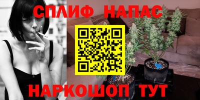 шишки Дубна
