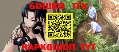 шишки Дубна