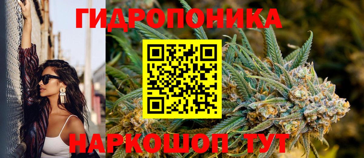 Каннабис сатива Михайловск
